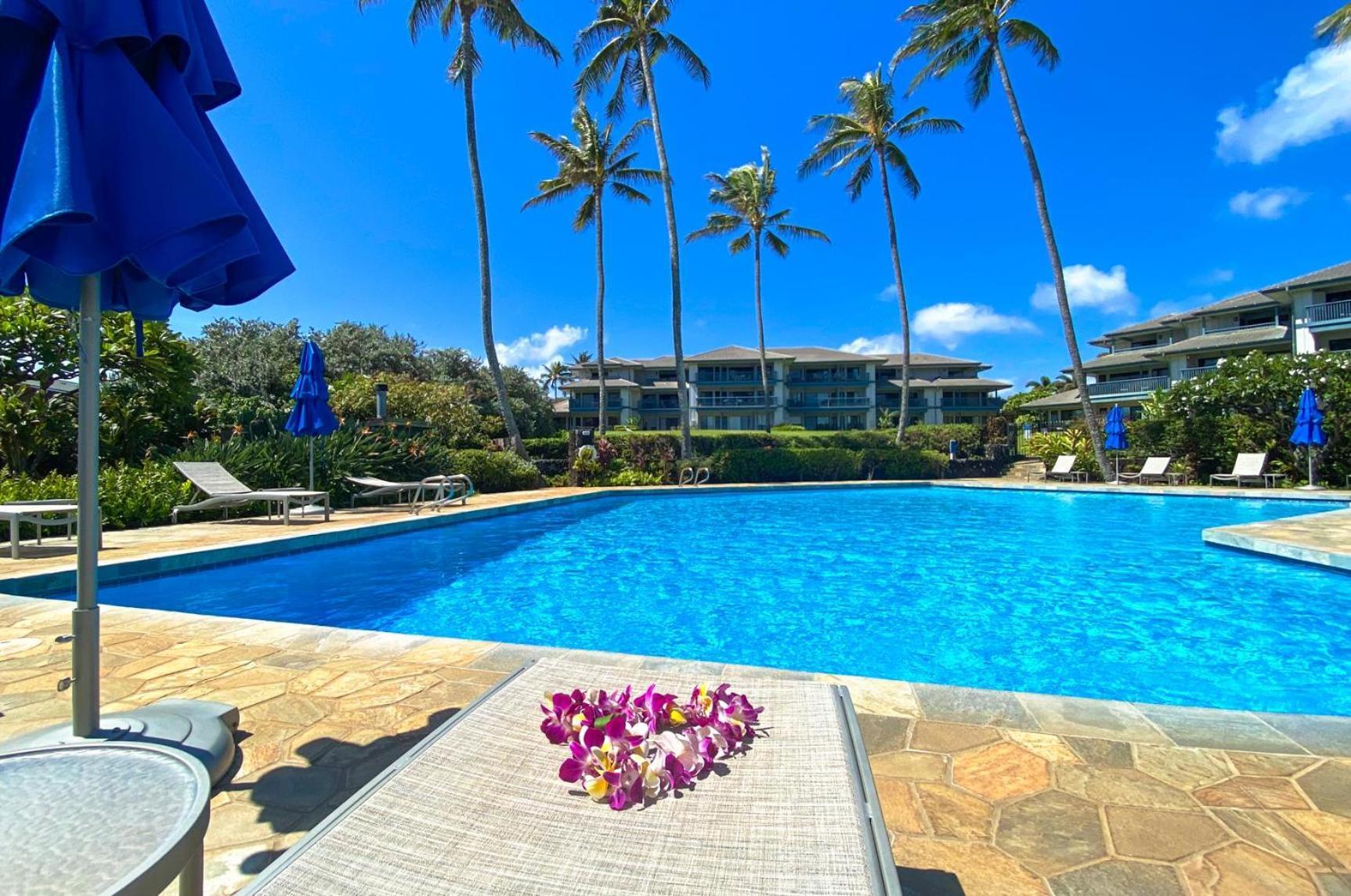 Poipu Sands 513 - Ocean Front كولو المظهر الخارجي الصورة