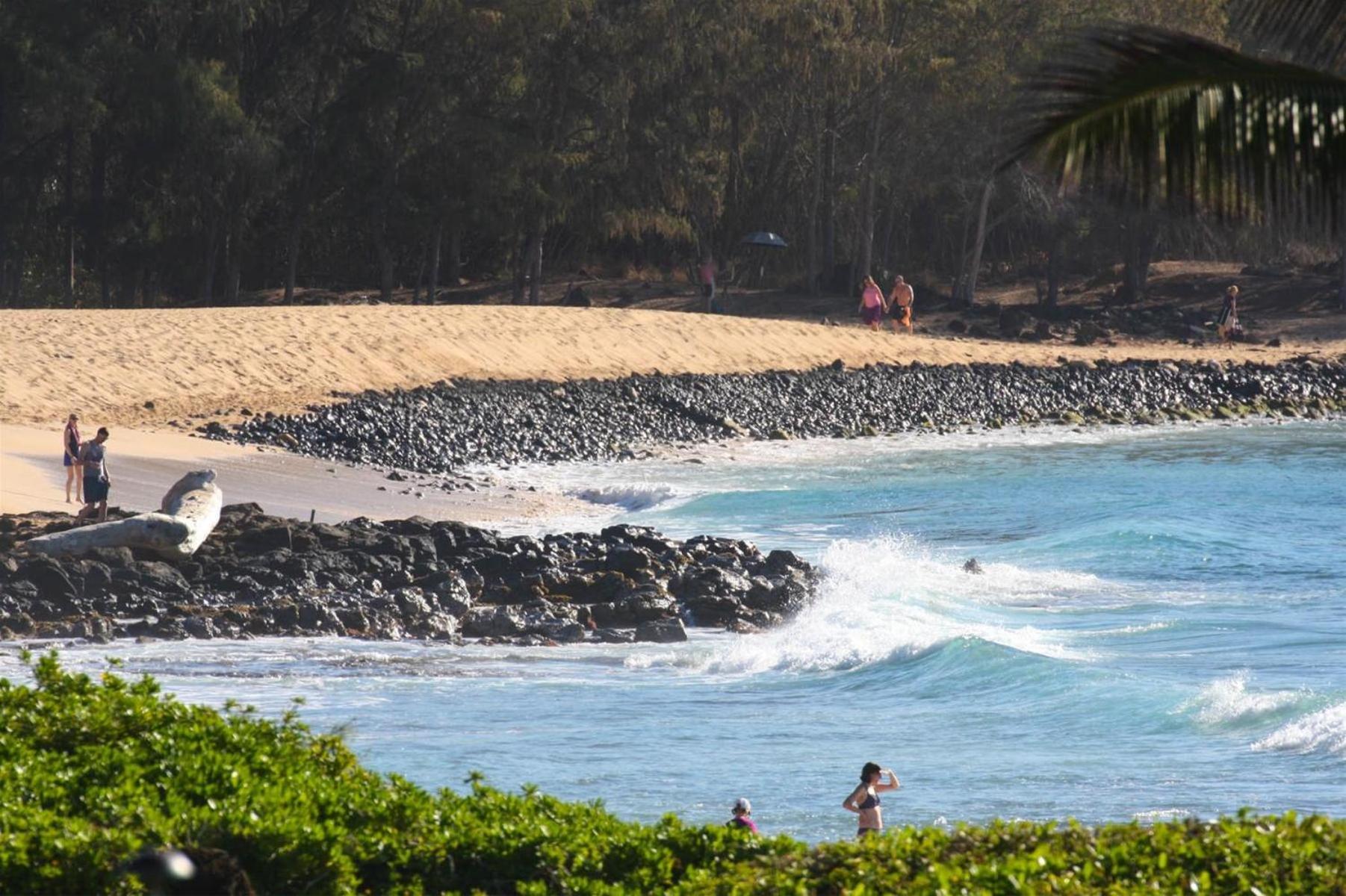 Poipu Sands 513 - Ocean Front كولو المظهر الخارجي الصورة